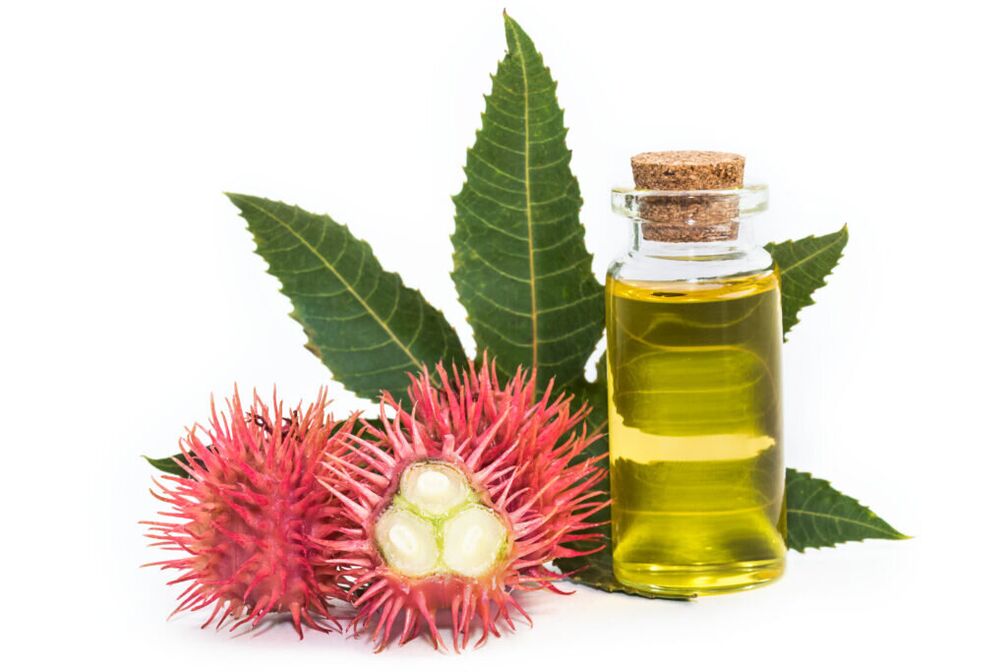 olio di ricino - composizione della crema Proctonic